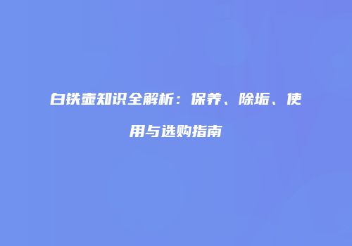 白铁壶知识全解析：保养、除垢、使用与选购指南