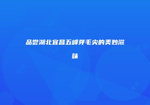 品尝湖北宜昌五峰芽毛尖的美妙滋味