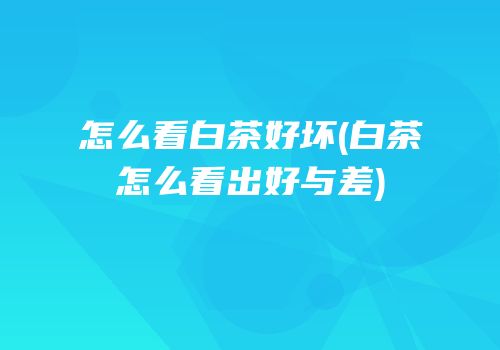 怎么看白茶好坏(白茶怎么看出好与差)