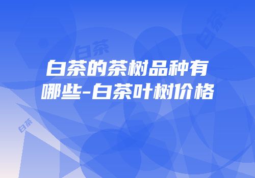 白茶的茶树品种有哪些-白茶叶树价格