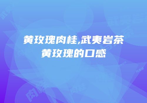 黄玫瑰肉桂,武夷岩茶黄玫瑰的口感