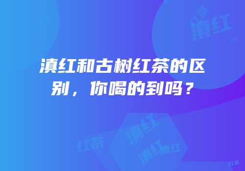 滇红和古树红茶的区别，你喝的到吗？