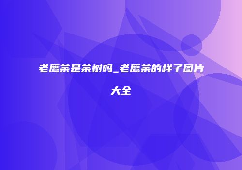 老鹰茶是茶树吗_老鹰茶的样子图片大全
