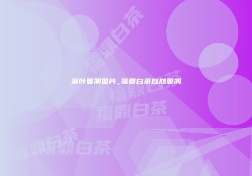 茶叶萎凋图片_福鼎白茶自然萎凋