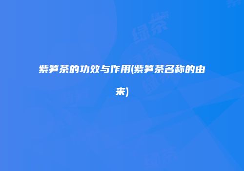 紫笋茶的功效与作用(紫笋茶名称的由来)