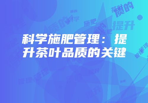 科学施肥管理：提升茶叶品质的关键
