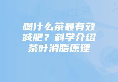 喝什么茶最有效减肥？科学介绍茶叶消脂原理