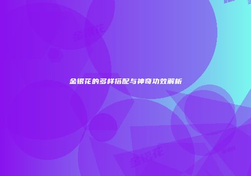 金银花的多样搭配与神奇功效解析