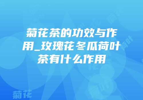 菊花茶的功效与作用_玫瑰花冬瓜荷叶茶有什么作用