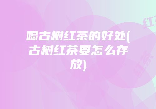喝古树红茶的好处(古树红茶要怎么存放)