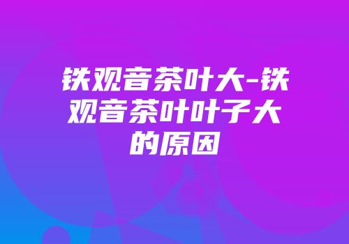 铁观音茶叶大-铁观音茶叶叶子大的原因
