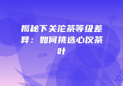 揭秘下关沱茶等级差异：如何挑选心仪茶叶