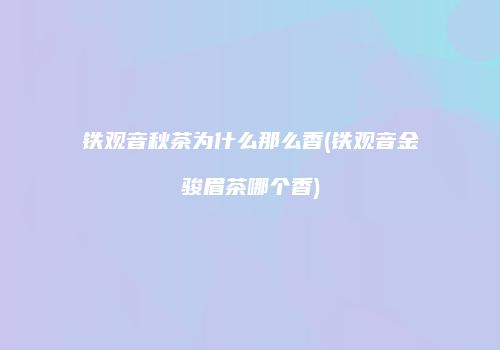 铁观音秋茶为什么那么香(铁观音金骏眉茶哪个香)
