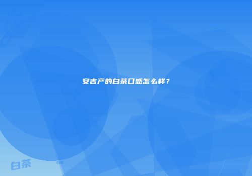 安吉产的白茶口感怎么样？
