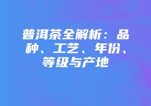普洱茶全解析：品种、工艺、年份、等级与产地