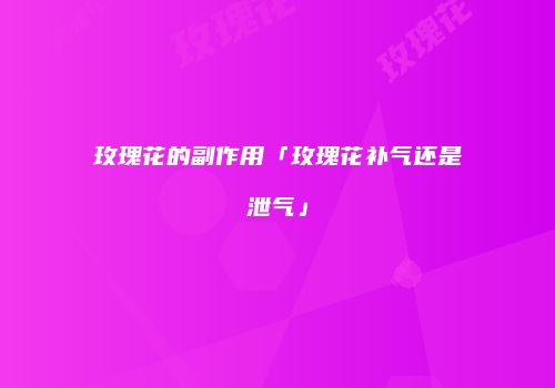 玫瑰花的副作用「玫瑰花补气还是泄气」