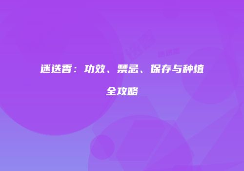 迷迭香：功效、禁忌、保存与种植全攻略