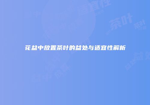 花盆中放置茶叶的益处与适宜性解析