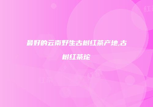 最好的云南野生古树红茶产地,古树红茶坨