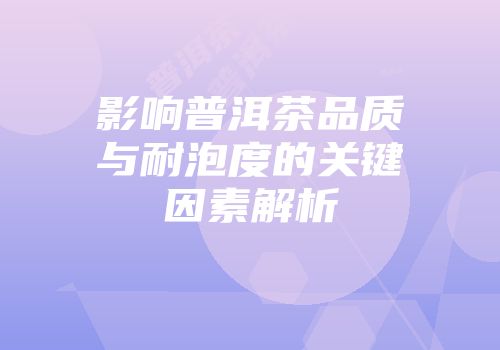 影响普洱茶品质与耐泡度的关键因素解析