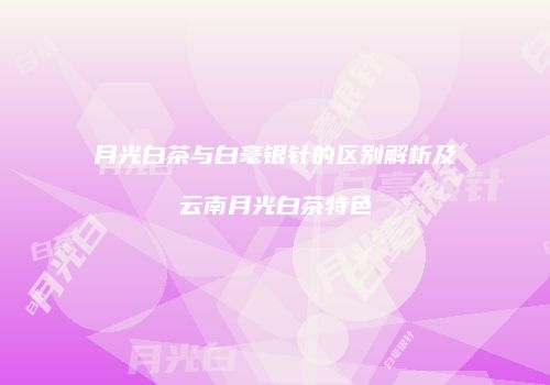月光白茶与白毫银针的区别解析及云南月光白茶特色