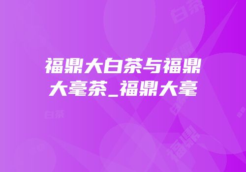 福鼎大白茶与福鼎大毫茶_福鼎大毫