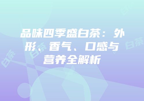 品味四季盛白茶：外形、香气、口感与营养全解析
