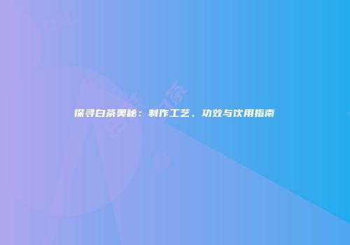 探寻白茶奥秘：制作工艺、功效与饮用指南