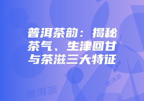 普洱茶韵：揭秘茶气、生津回甘与茶滋三大特征