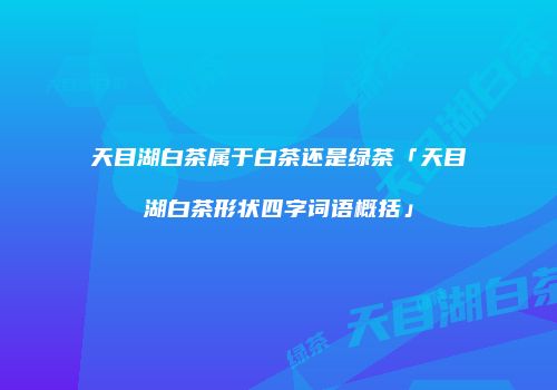 天目湖白茶属于白茶还是绿茶「天目湖白茶形状四字词语概括」