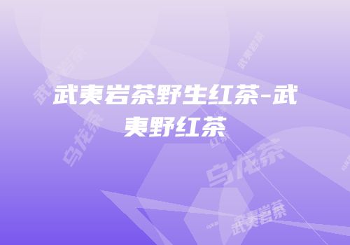 武夷岩茶野生红茶-武夷野红茶