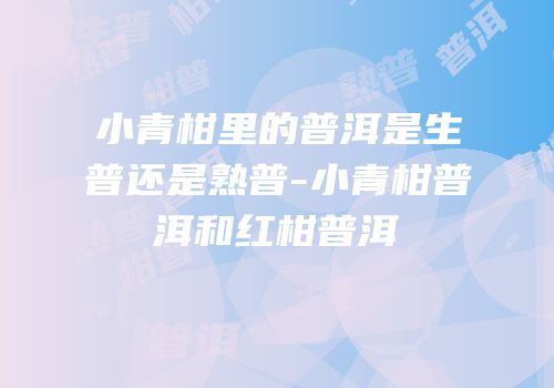 小青柑里的普洱是生普还是熟普-小青柑普洱和红柑普洱