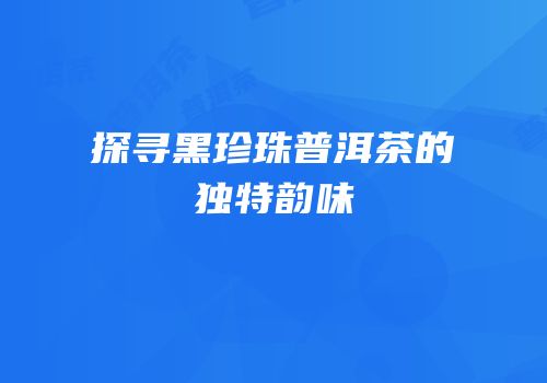 探寻黑珍珠普洱茶的独特韵味