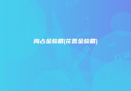 梅占金骏眉(花香金骏眉)