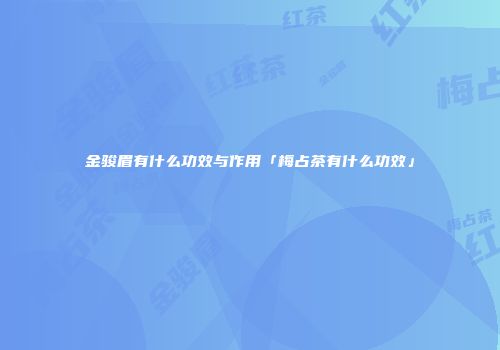 金骏眉有什么功效与作用「梅占茶有什么功效」