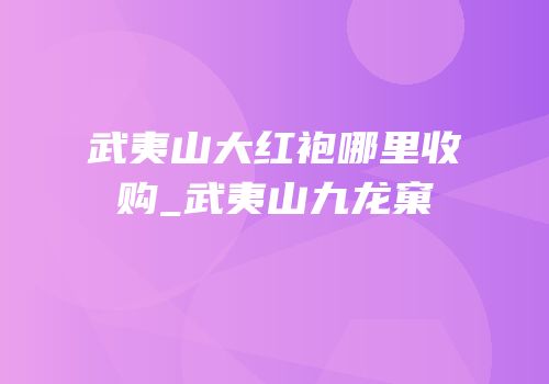 武夷山大红袍哪里收购_武夷山九龙窠