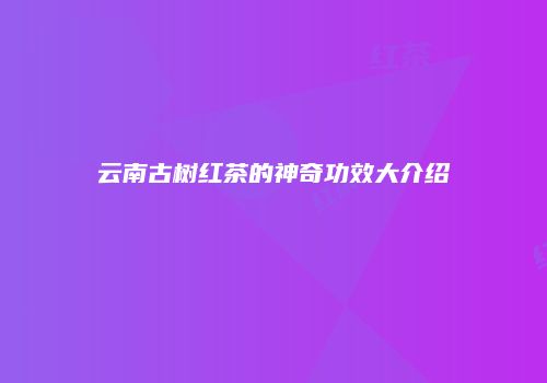 云南古树红茶的神奇功效大介绍