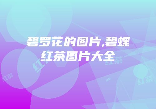碧罗花的图片,碧螺红茶图片大全