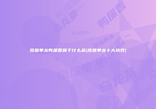 凤凰单丛鸭屎香属于什么茶(凤凰单丛十大功效)