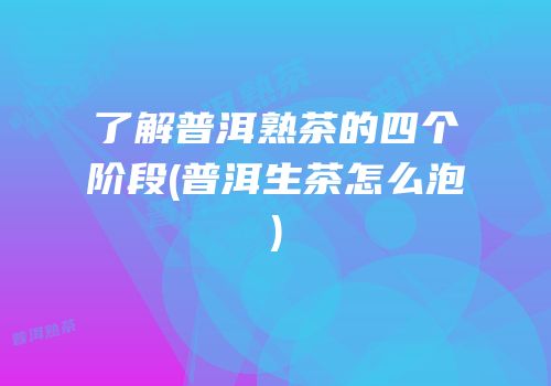 了解普洱熟茶的四个阶段(普洱生茶怎么泡)