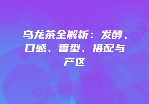 乌龙茶全解析：发酵、口感、香型、搭配与产区