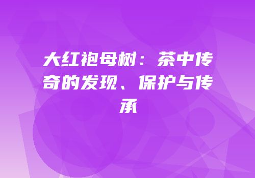 大红袍母树：茶中传奇的发现、保护与传承