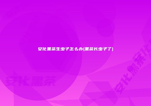 安化黑茶生虫子怎么办(黑茶长虫子了)