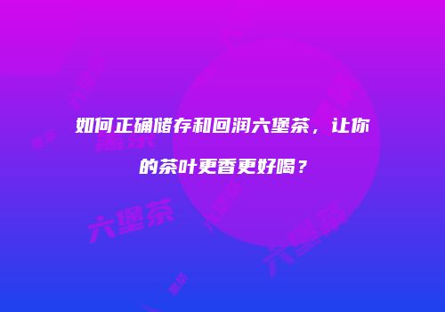 如何正确储存和回润六堡茶，让你的茶叶更香更好喝？