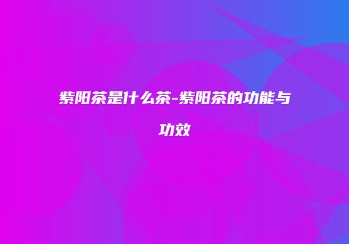 紫阳茶是什么茶-紫阳茶的功能与功效