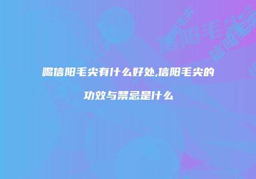 喝信阳毛尖有什么好处,信阳毛尖的功效与禁忌是什么