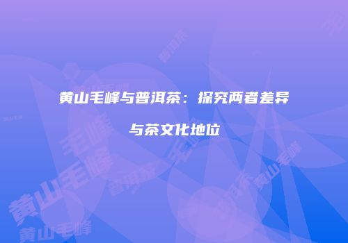 黄山毛峰与普洱茶：探究两者差异与茶文化地位