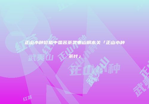 正山小种价格中国茗茶武夷山桐木关「正山小种茶叶」