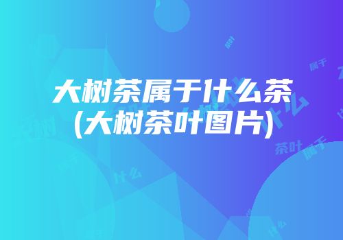 大树茶属于什么茶(大树茶叶图片)