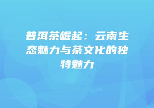 普洱茶崛起：云南生态魅力与茶文化的独特魅力